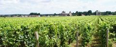 Burgundy Wine & Medieval Tour